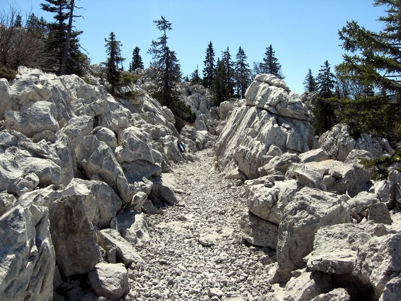 Nacionalni park Sjeverni Velebit, Premužićevom stazom, 7.6.2025