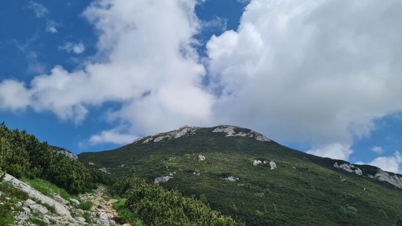 Snežnik-Snježnik, 5.7.2025