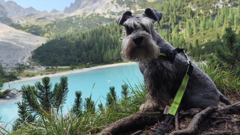 FOTO IZVJEŠTAJ – Jezero Sorapis, Dolomiti (Italija), 10.8.2025