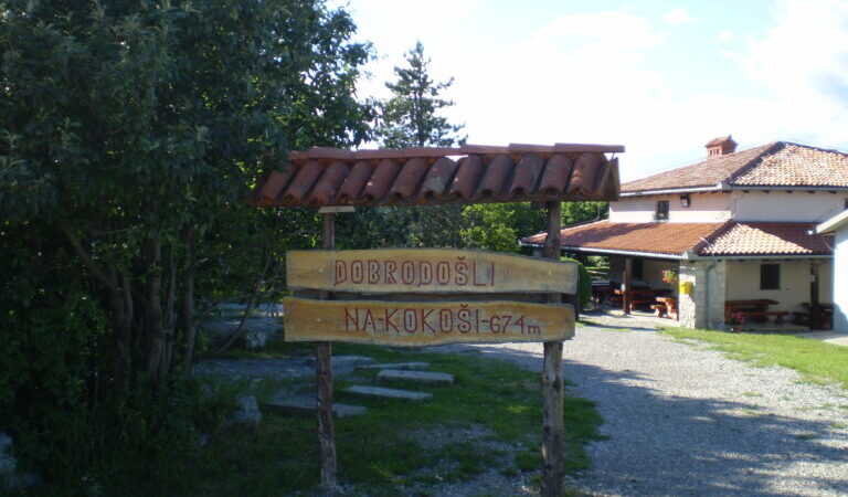 Kokoš Lipice (Slovenija), 5.10.2025 ODGOĐENO