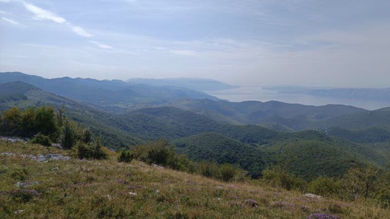 Veliki Sitovnik i Utihovo, 12.10.2025 ODGOĐENO