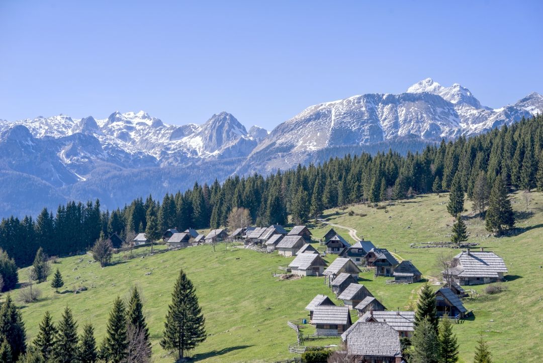 Planina Zajavornik (Slovenija), 8.2.2026