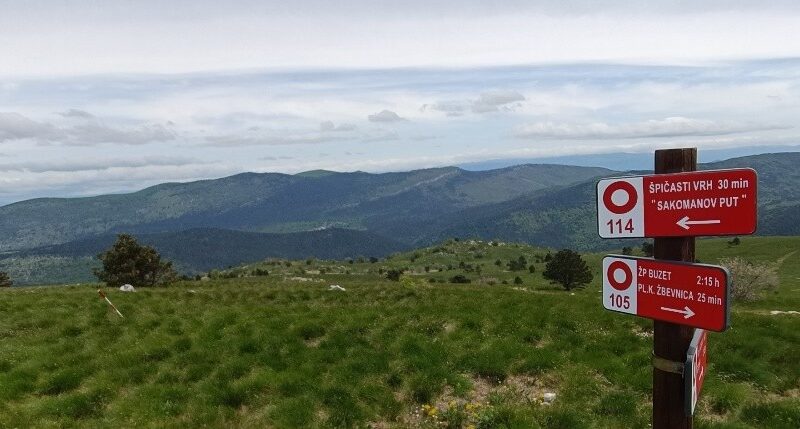 Sakomanov put, 19.4.2026