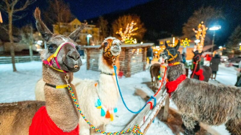 Planinski advent u Mallnizu (Austrija), 6.12.2026
